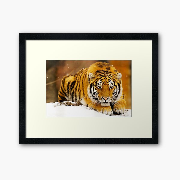 Item preview, Siberian Tiger designed and sold by Erika Kaisersot.