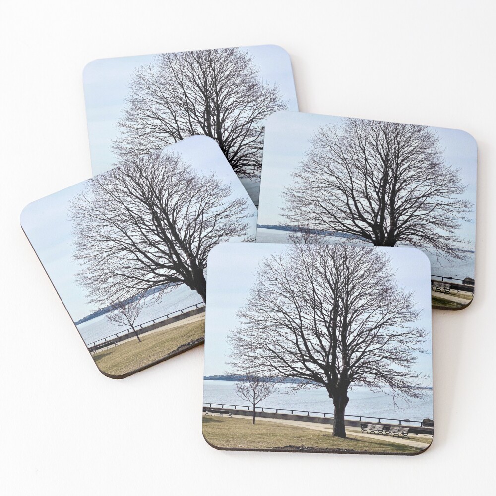 Item preview, Coasters (Set of 4) designed and sold by Ruthie33.