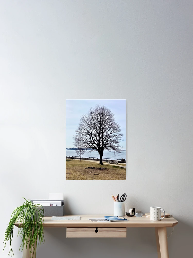 Thumbnail 2 of 3, Poster, Bare Tree designed and sold by Ruth Curtis.