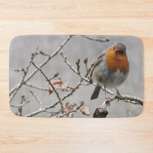 Item preview, Winter Robin designed and sold by WildandDivine.
