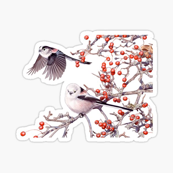 Long-tailed Tits Sticker