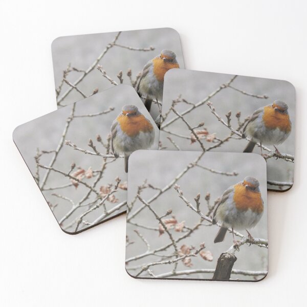 Item preview, Winter Robin designed and sold by WildandDivine.