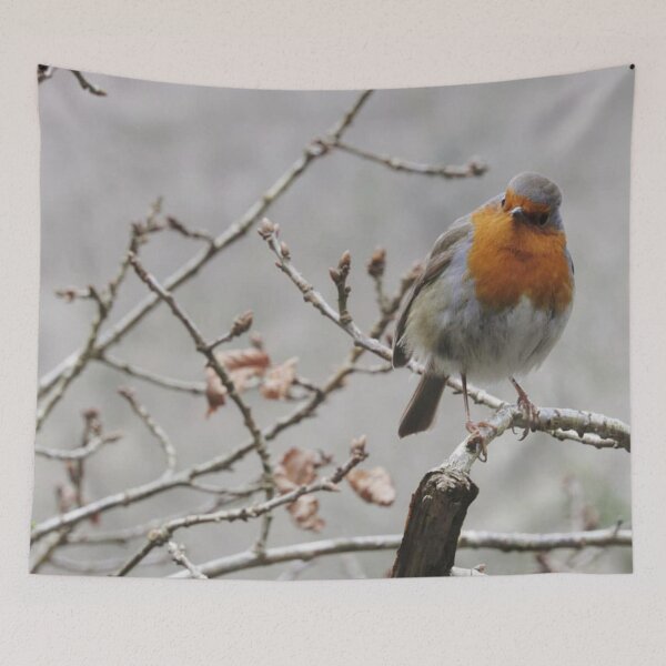Item preview, Winter Robin designed and sold by WildandDivine.