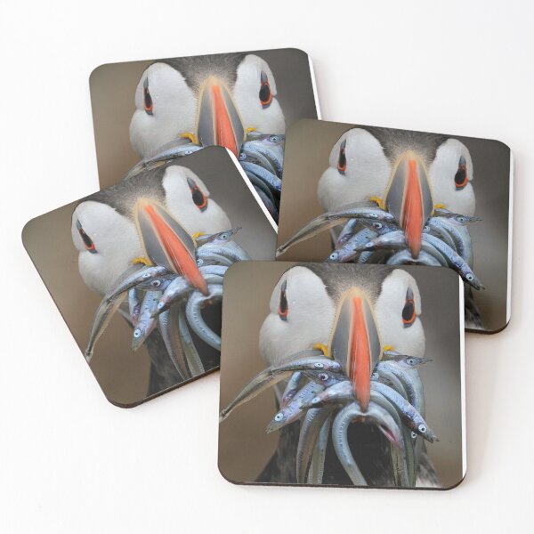 Item preview, Puffin feast designed and sold by Gez Robinson.