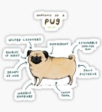 Anatomy of a Pug Sticker