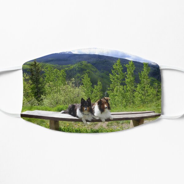 Sheltie Paradise Mask