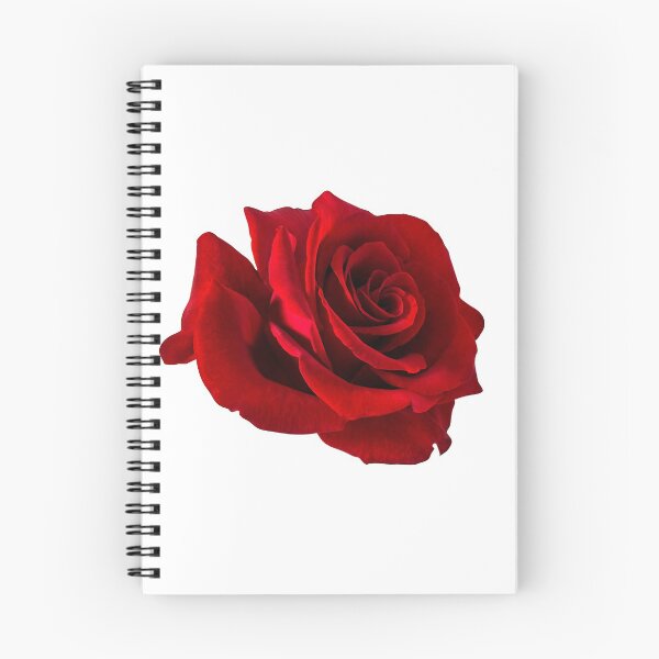Item preview, red rose designed and sold by ssduckman.