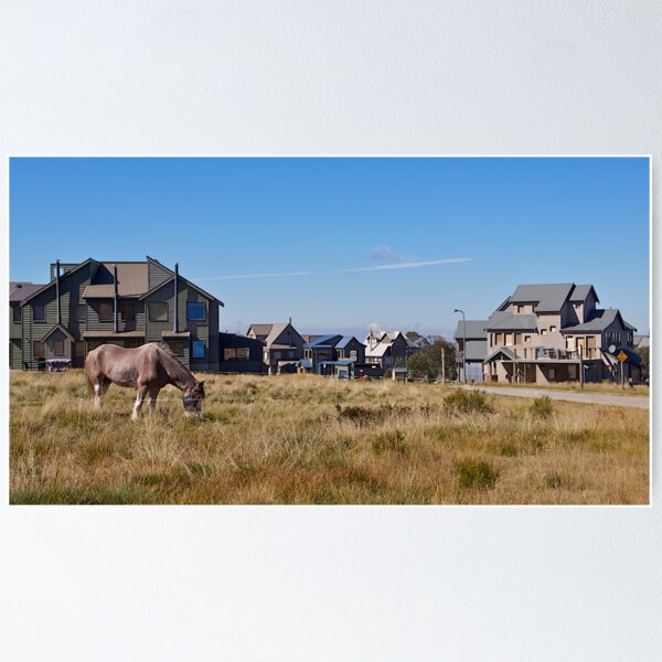 The Ski Village of Dinner Plain, Victoria. Poster