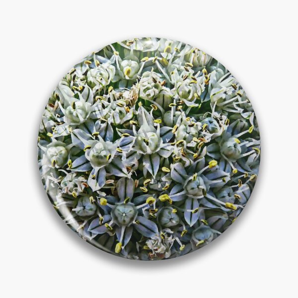 Item preview, White Sphere Inflorescence Blossoming Onion in Romantic Retro style designed and sold by r-silver.
