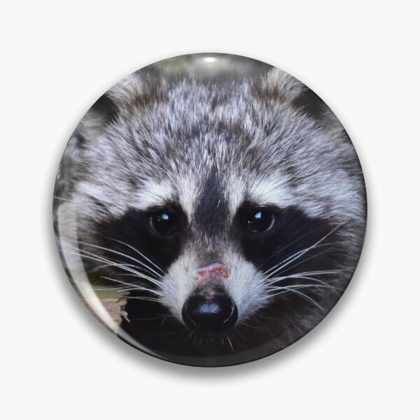 Item preview, Little raccoon designed and sold by Glineur.