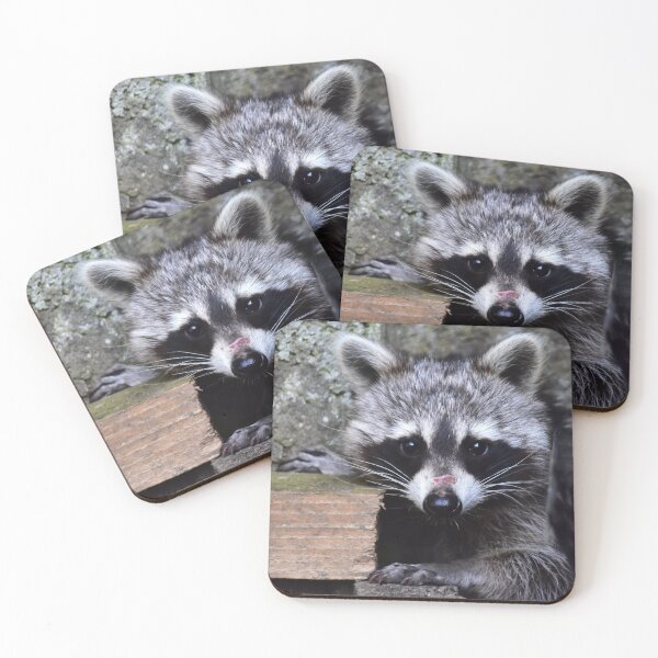 Item preview, Little raccoon designed and sold by Glineur.