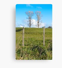 two trees Canvas Print