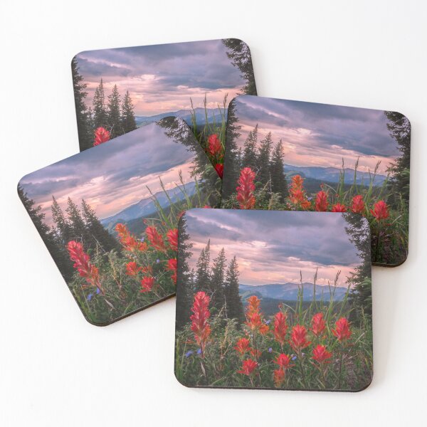 Item preview, Colorado Indian Paintbrush designed and sold by Reese Ferrier.