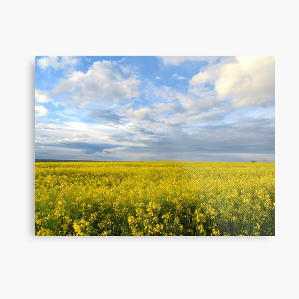 Item preview, Blue Cloudy Skies Over Yellow Field designed and sold by Andrew Morrell.