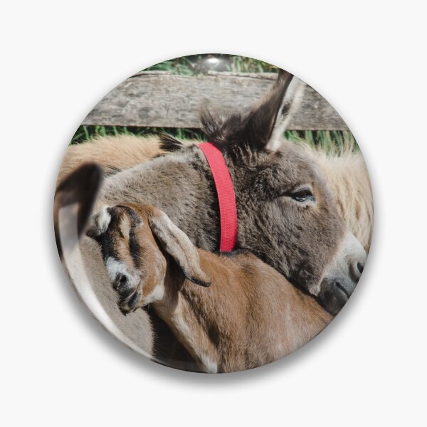Item preview, Katie and Katy Donkey Sanctuary designed and sold by rukhimonster.
