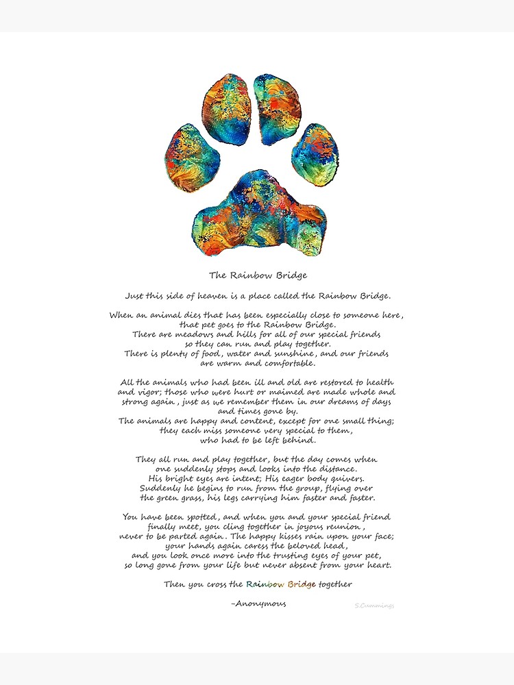 rainbow bridge poem with colorful paw print by sharon cummings