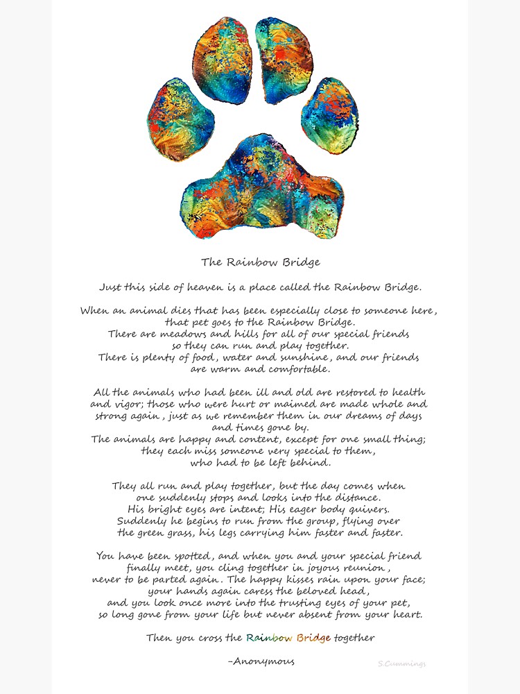 rainbow bridge poem with colorful paw print by sharon