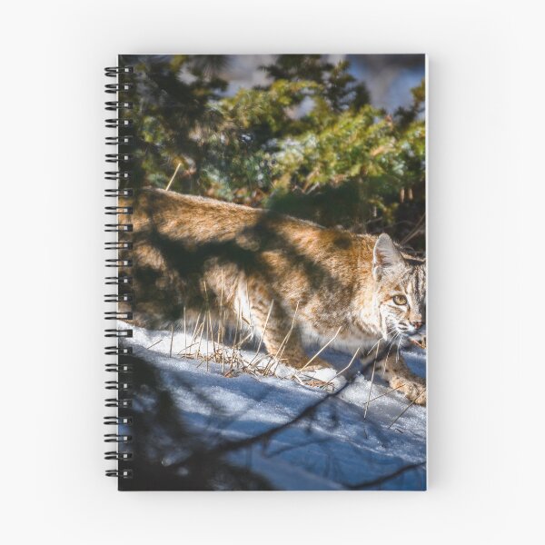 Item preview, Colorado Bobcat designed and sold by Reese Ferrier.