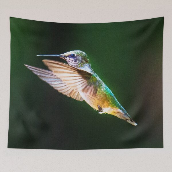 Item preview, Hummingbird designed and sold by drawbey.