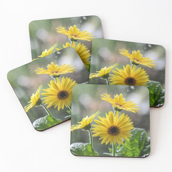 Item preview, Gerbera designed and sold by Bob Hardy.