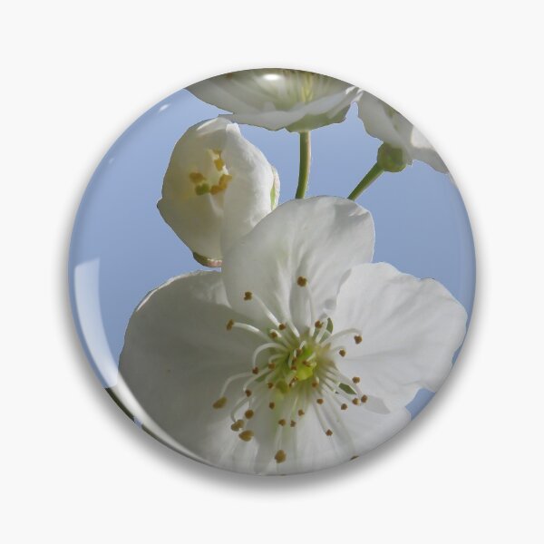 Item preview, cherries in blosssom on blue serenity designed and sold by AHELENE.