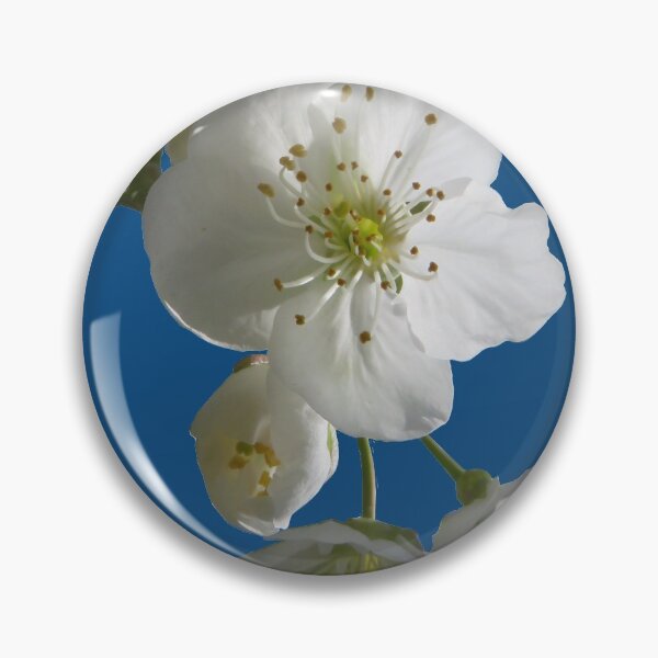 Item preview, cherries in blosssom on snorkel blue designed and sold by AHELENE.