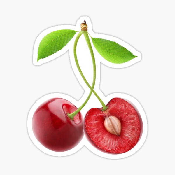 Item preview, Pair of sweet cherries with curvy stems designed and sold by 6hands.