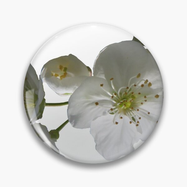 Item preview, cherries in blosssom on white background designed and sold by AHELENE.
