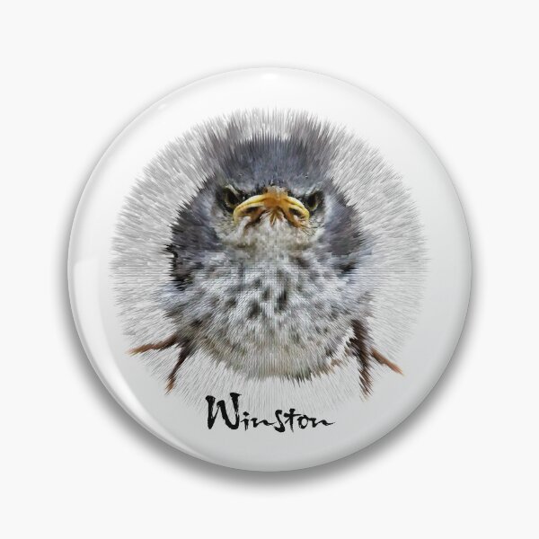 Item preview, Bristling Winston - the Original  designed and sold by Warren Paul Harris.