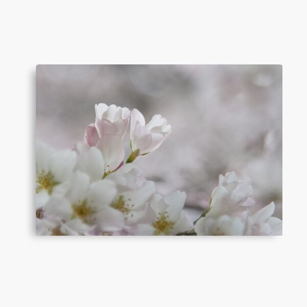 The Glory of Spring 3 Metal Print