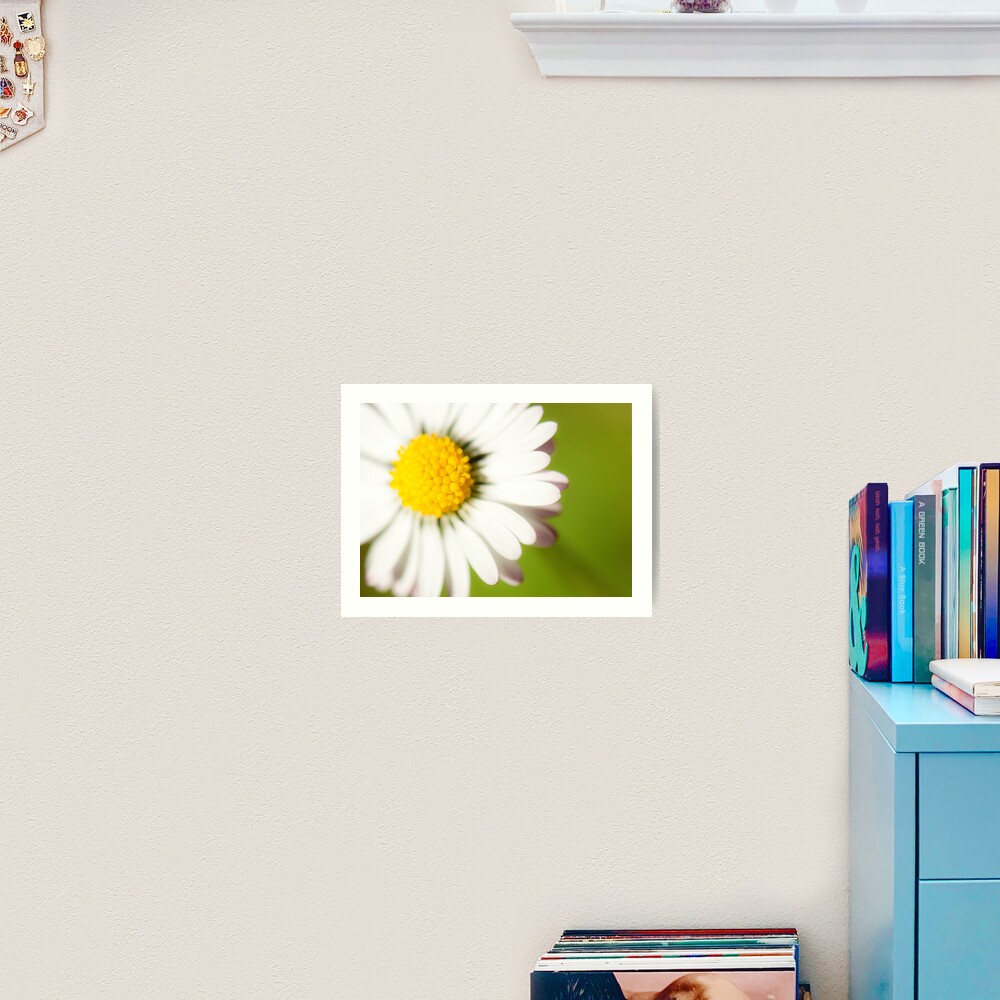 Spring Daisy Art Print