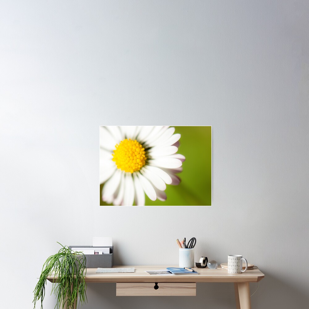 Spring Daisy Poster