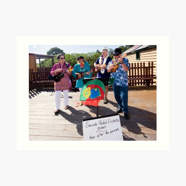 Tilba Festival 2012 Art Print