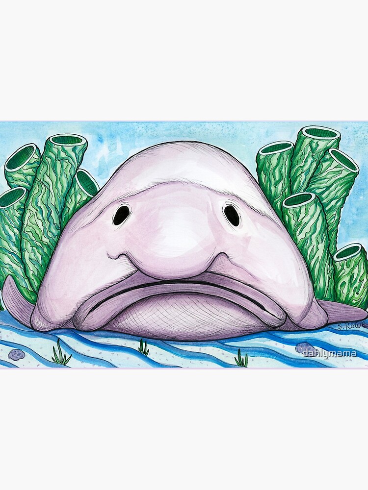 So cute  Blobfish, Cartoon fish, Fish drawings