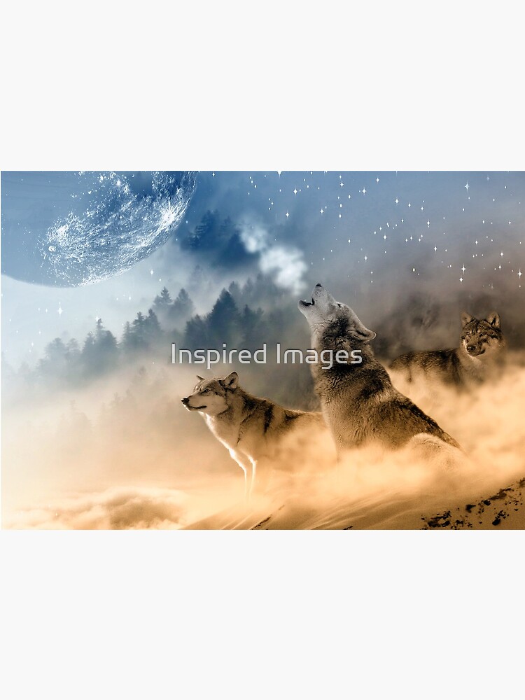 Wolves Howling At The Moon / Beautiful Wolves by ImageMonkey