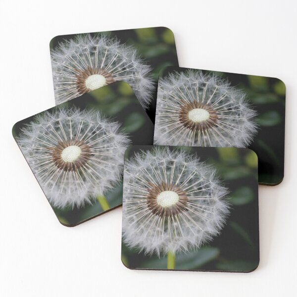 Item preview, Dandelion designed and sold by abigailrock.