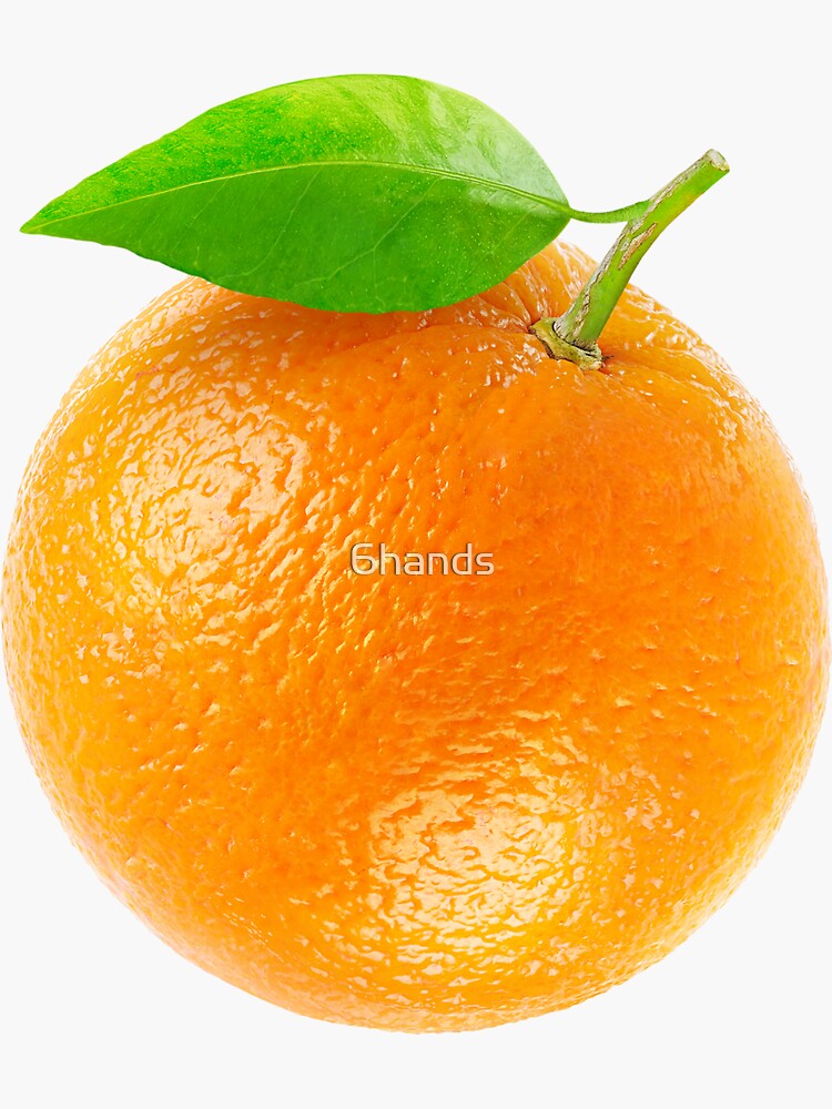 Fresh orange by 6hands