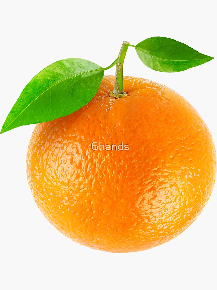 Fresh orange by 6hands