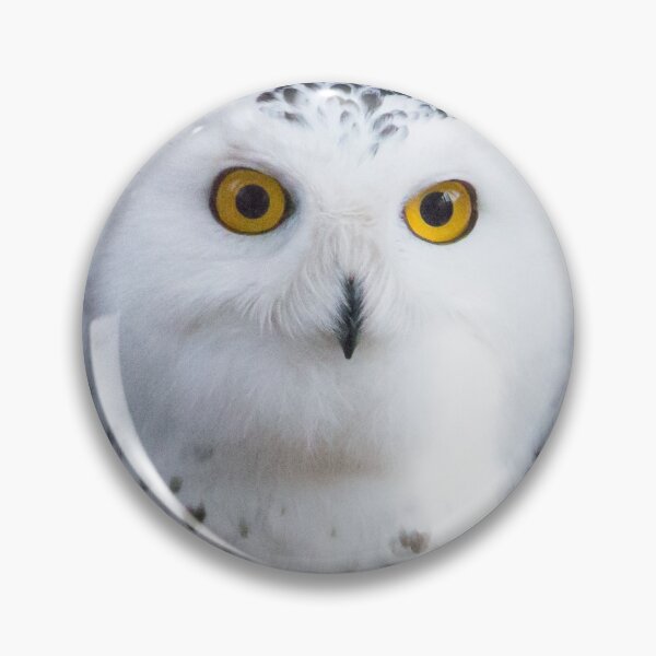 Item preview, Snowy Owl designed and sold by WildlifeRehab.