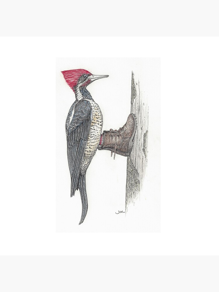 Thumbnail 4 of 4, Pillow, Woodpecker in logging boots designed and sold by JimsBirds.