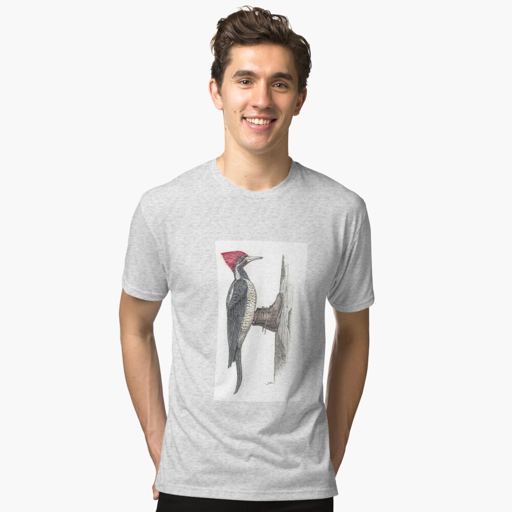 Item preview, Tri-blend T-Shirt designed and sold by JimsBirds.