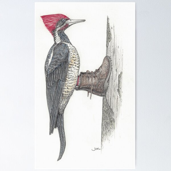 Item preview, Woodpecker in logging boots designed and sold by JimsBirds.