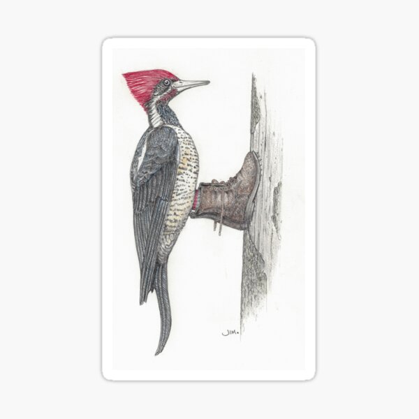 Item preview, Woodpecker in logging boots designed and sold by JimsBirds.