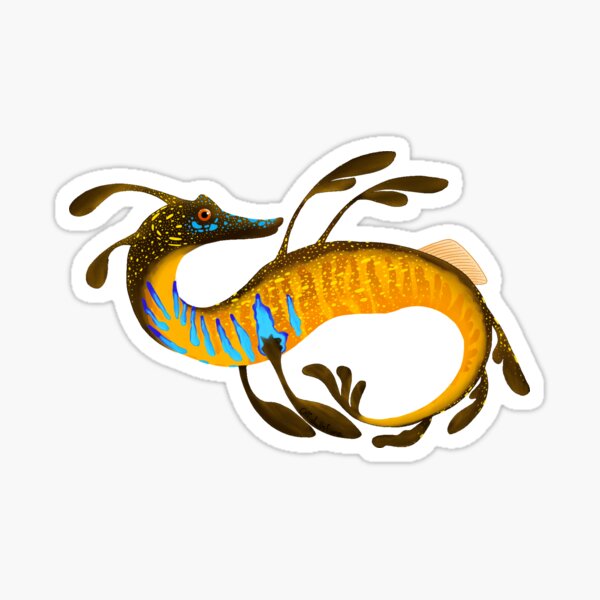 A Weedy Seadragon Sticker