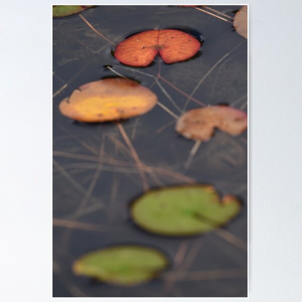Item preview, Autumn Lilies designed and sold by Bluedogkillr.