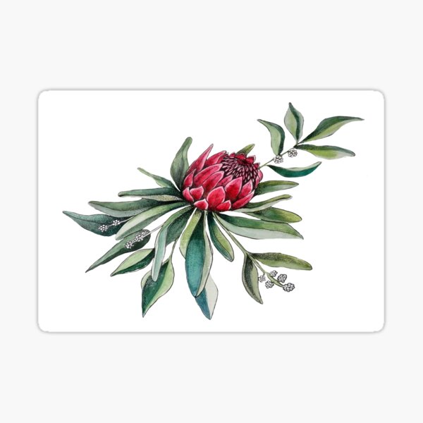 Protea Flower Trio Sticker Pack - Three 3 Waterproof Vinyl Stickers f