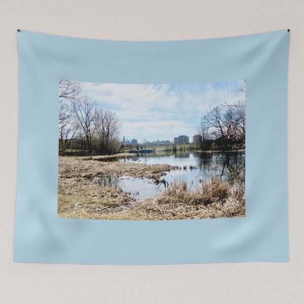 Item preview, Reed Beds in the Rideau River, Ottawa, ON Canada designed and sold by Shulie1.