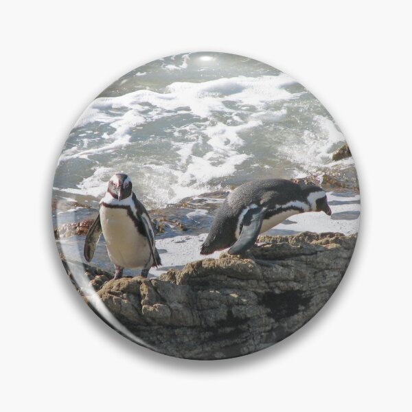 Item preview, African Penguins at Boulders Beach, Cape Town, South Africa designed and sold by worldways.