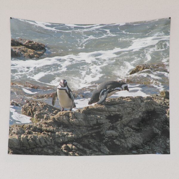 Item preview, African Penguins at Boulders Beach, Cape Town, South Africa designed and sold by worldways.