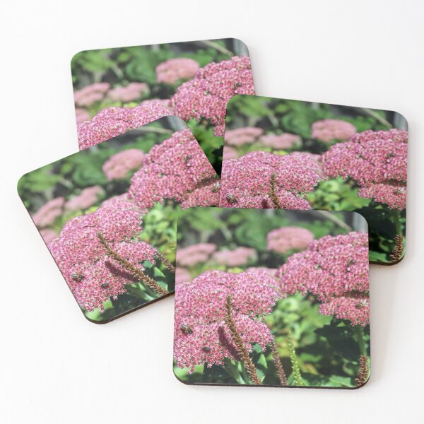 Item preview, Sedum designed and sold by pinkal.